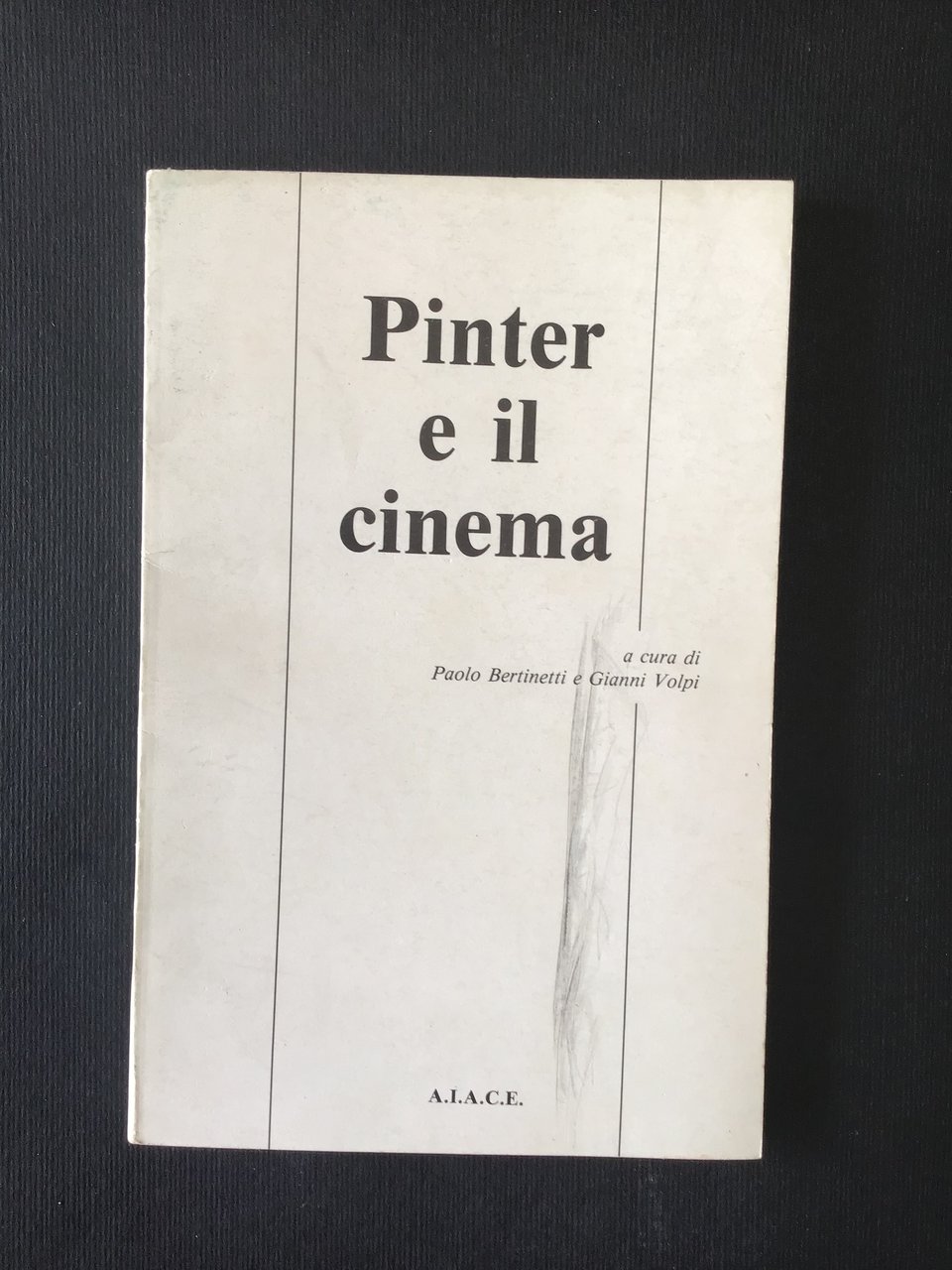 PINTER E IL CINEMA