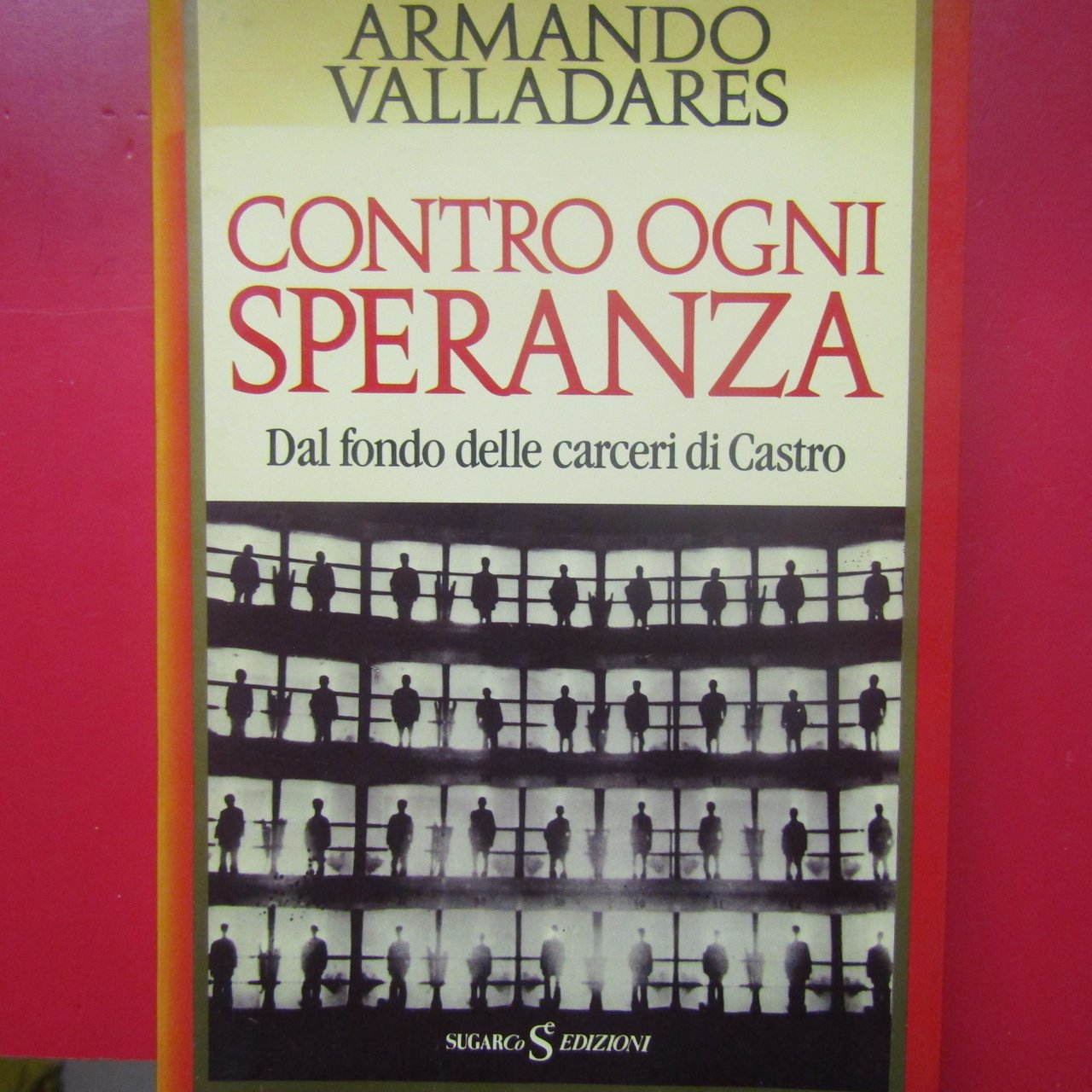 Contro ogni speranza