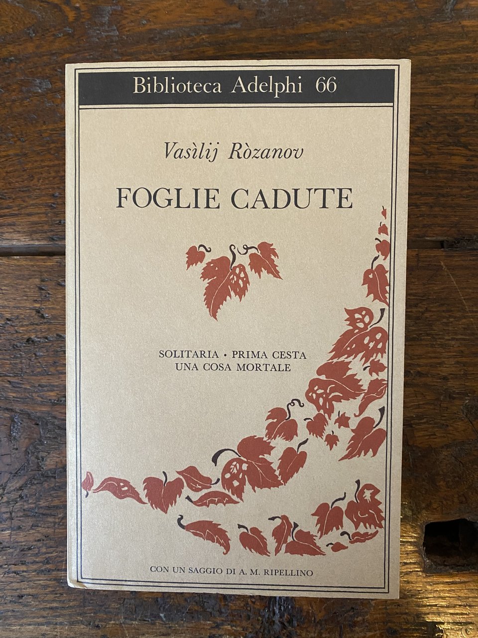 Foglie cadute