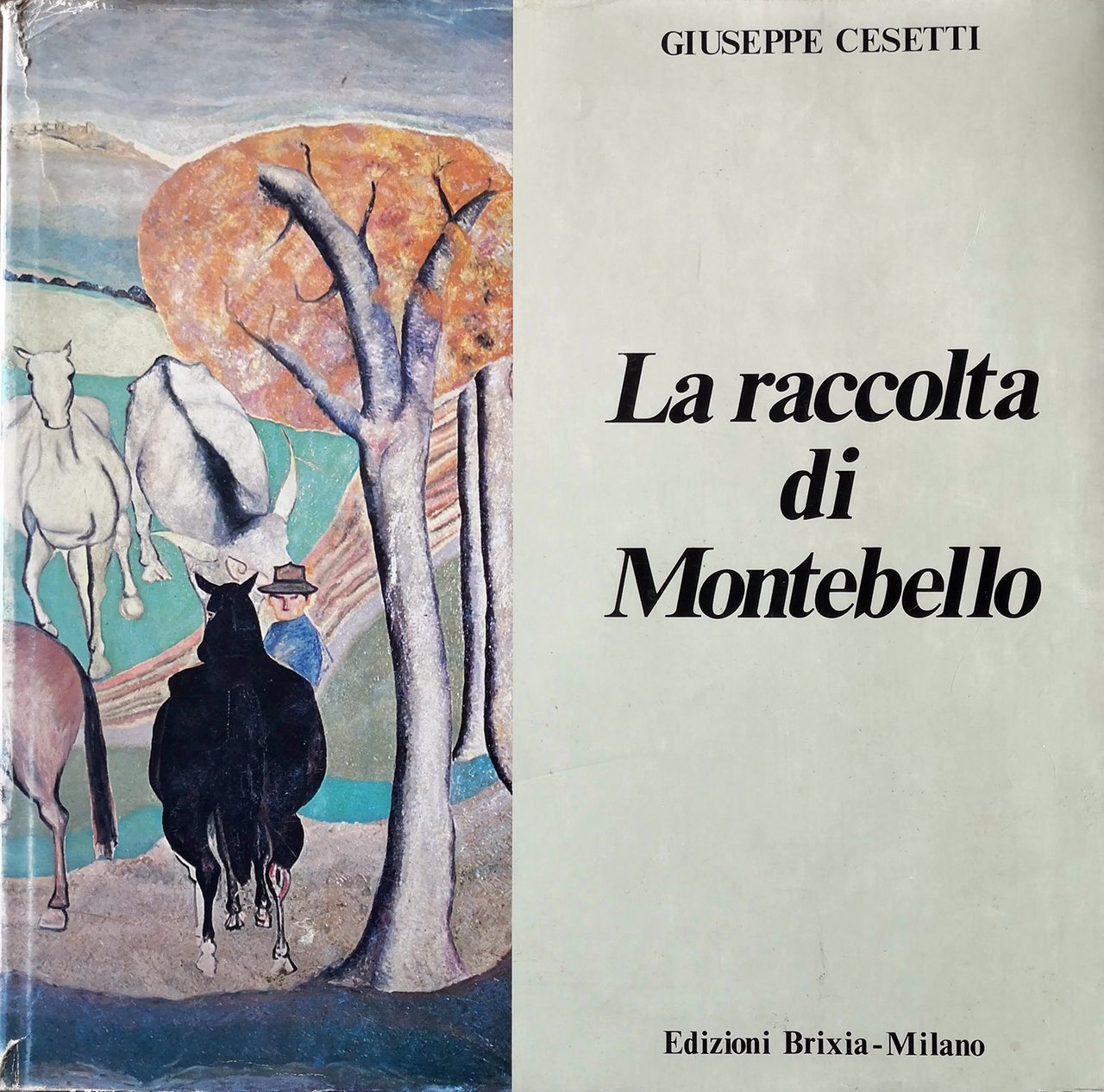 La raccolta di Montebello.