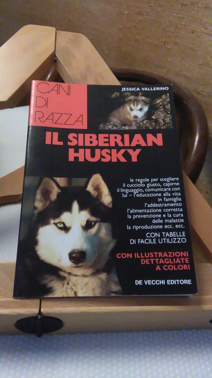 IL SIBERIAN HUSKY