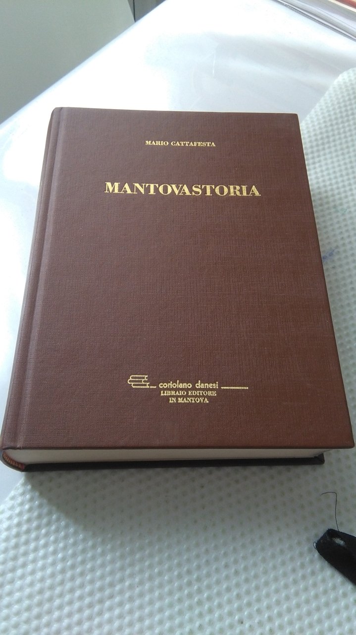 MANTOVASTORIA ( CON DEDICA DELL'AUTORE)