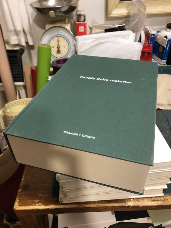 GRAMINACEE INFESTANTI 1 E 2; 3.MONOCOTILEDONI INFESTANTI; 4.DICOTILEDONI INFESTANTI , … | Immagine Gallery 5