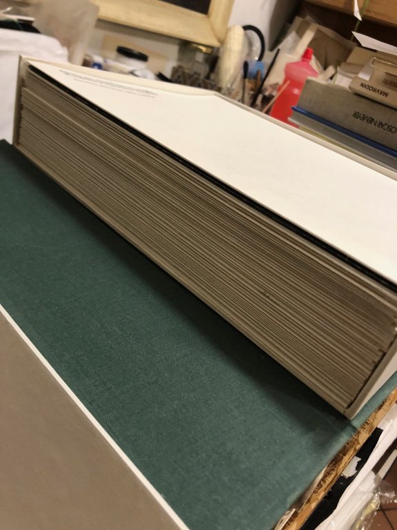 GRAMINACEE INFESTANTI 1 E 2; 3.MONOCOTILEDONI INFESTANTI; 4.DICOTILEDONI INFESTANTI , … | Immagine Gallery 4