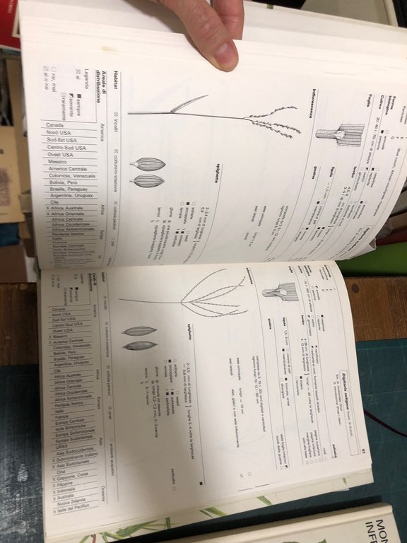 GRAMINACEE INFESTANTI 1 E 2; 3.MONOCOTILEDONI INFESTANTI; 4.DICOTILEDONI INFESTANTI , … | Immagine Gallery 2