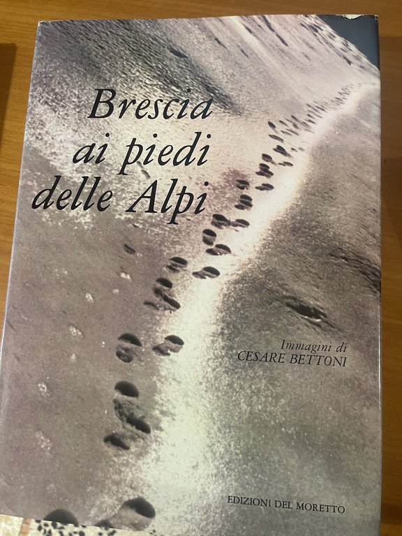 Brescia ai piedi delle Alpi