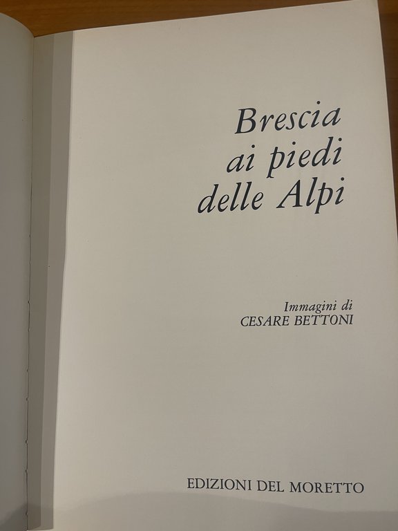 Brescia ai piedi delle Alpi