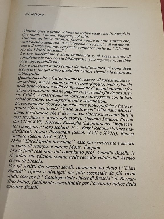 Dizionario dei pittori bresciani