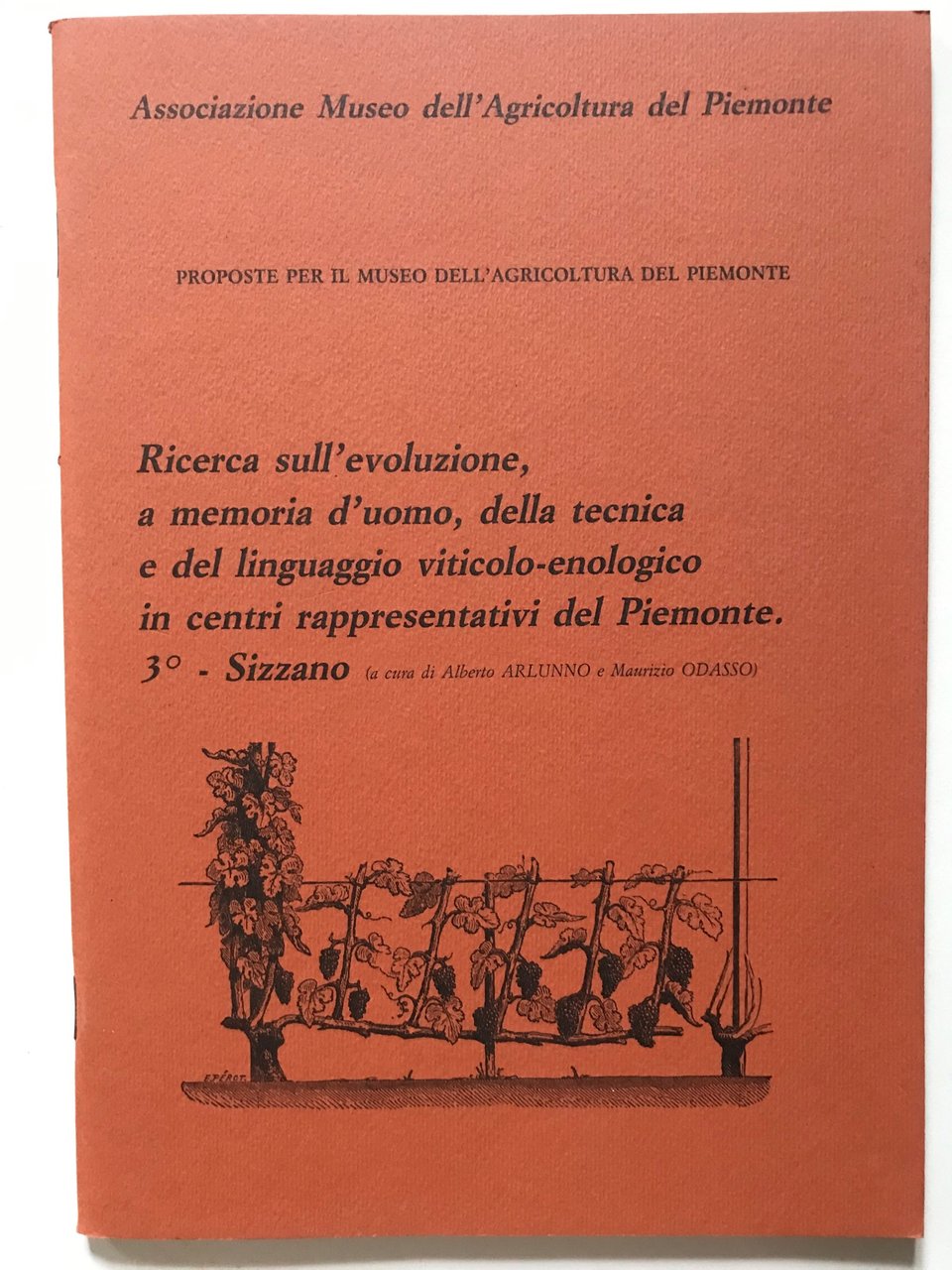 RICERCA SULL'EVOLUZIONE, A MEMORIA UOMO DELLA TECNICA E DEL LINGUAGGIO …