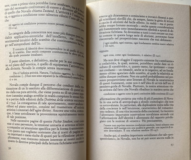 L'ESTETICA DI NOVALIS. ANALOGIA E PRINCIPIO POETICO NELLA PROFEZIA ROMANTICA