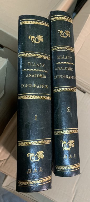 Trattato di anatomia topografica con applicazioni alla chirurgia
