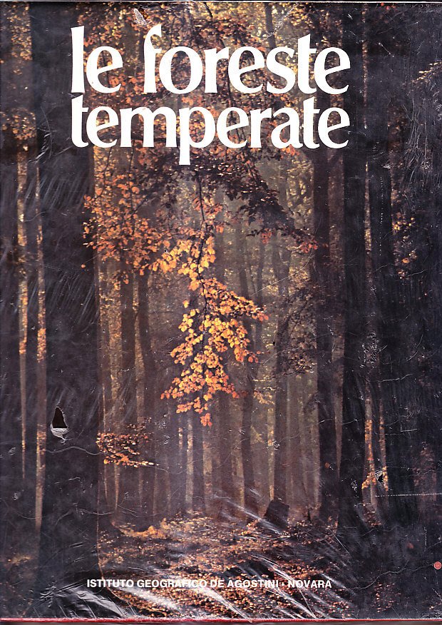 LE FORESTE TEMPERATE | Immagine principale