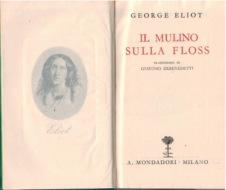 Il miulino sulla Floss