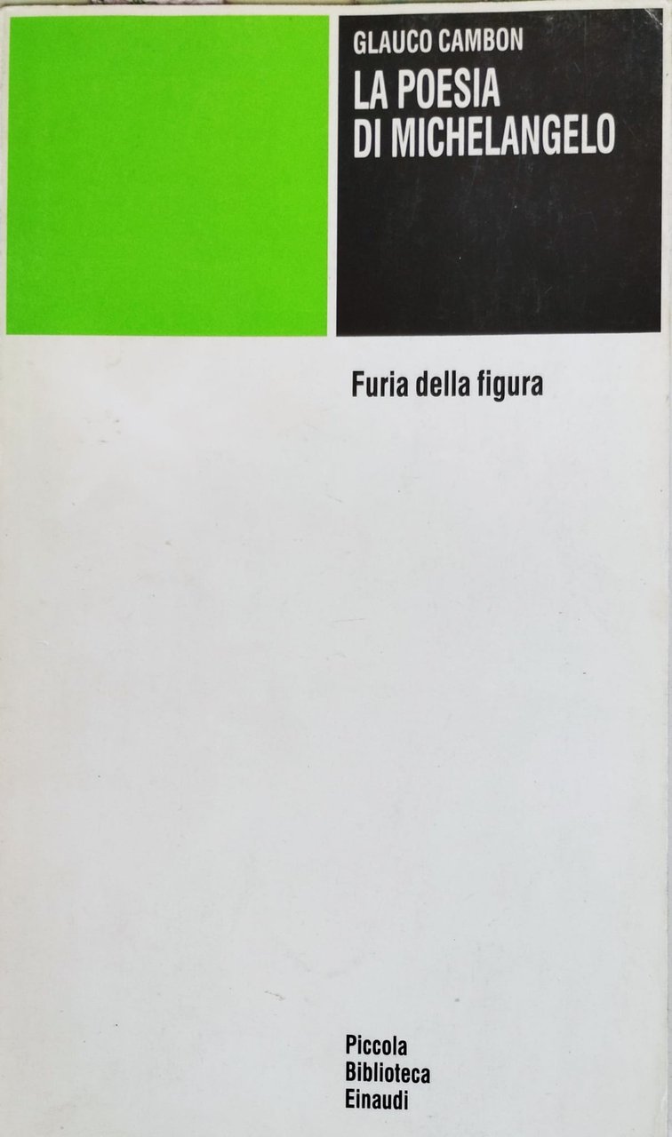 La poesia di Michelangelo. Furia della figura