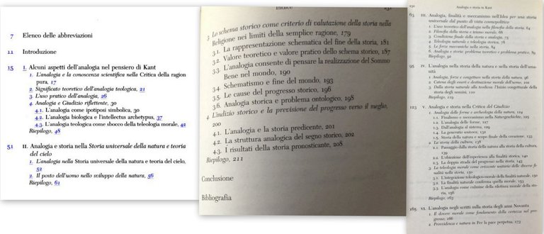 ANALOGIA E STORIA IN KANT