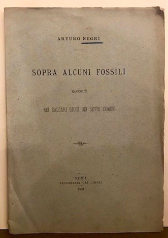 Sopra alcuni fossili raccolti nei calcari grigi dei Sette Comuni