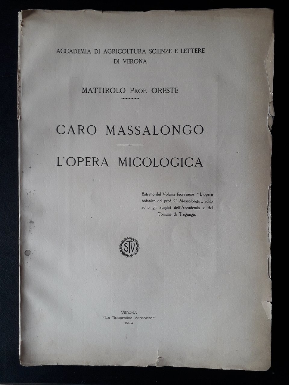 Caro Massalongo - L'Opera micologica