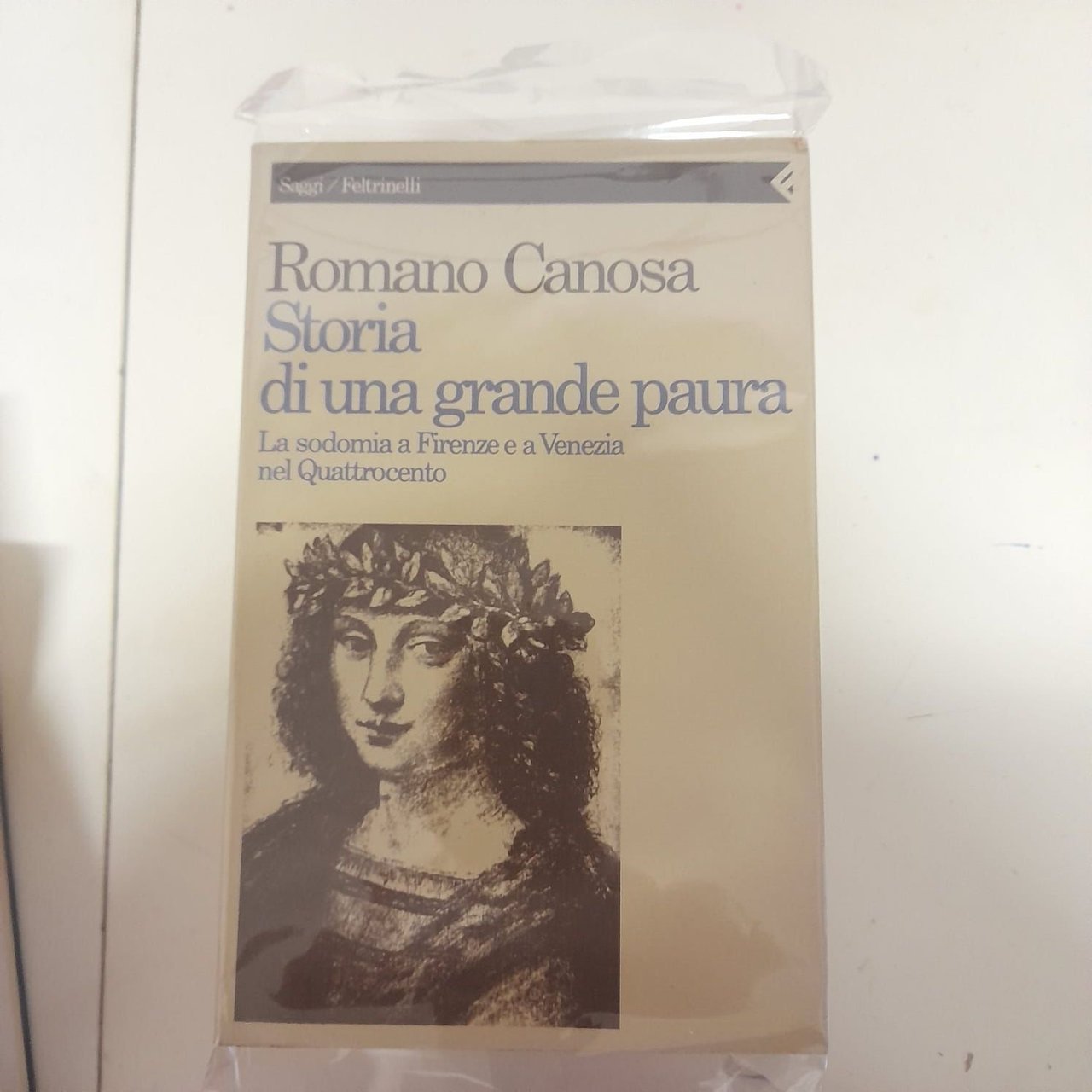 Storia di una grande paura La sodomia a Firenze e …