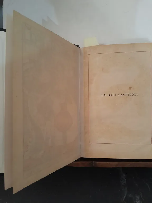 La Gaia Cachipoli romanzo | Immagine Gallery 1