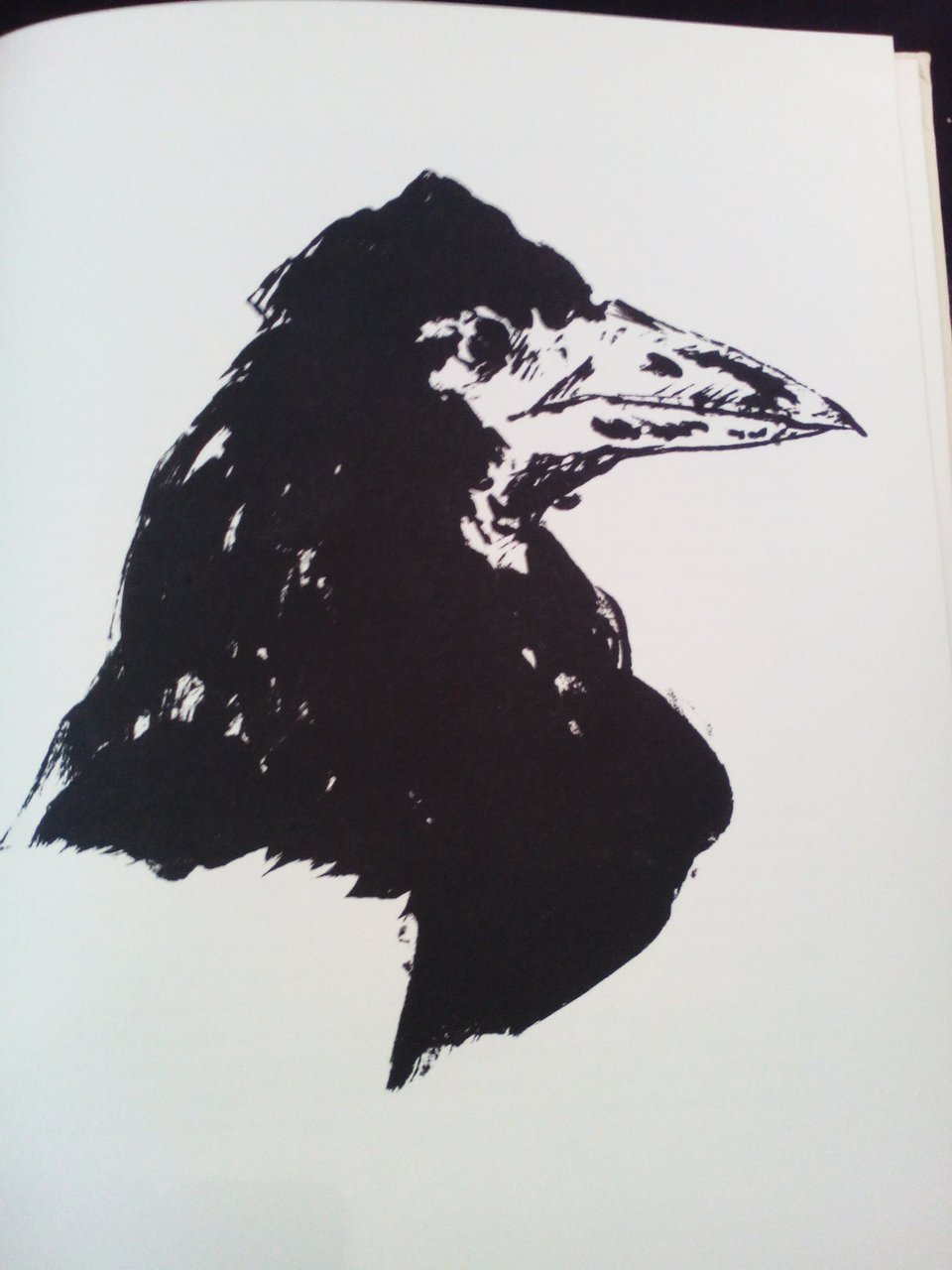 Le Corbeau. The Raven. Traduzioni di C. Baudelaire e S. …