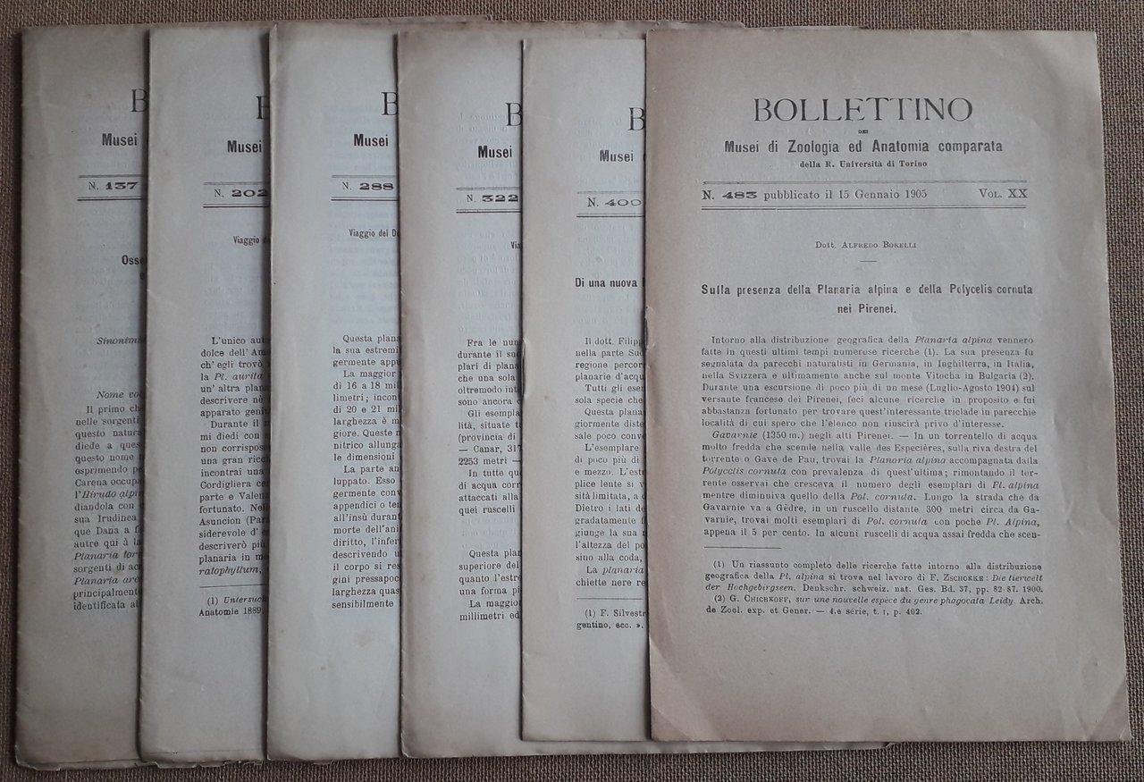 Bollettino dei Musei di Zoologia ed Anatomia comparata della R. …