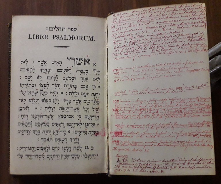 Liber Psalmorum