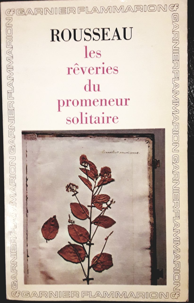 Les reveries du promeneur solitaire