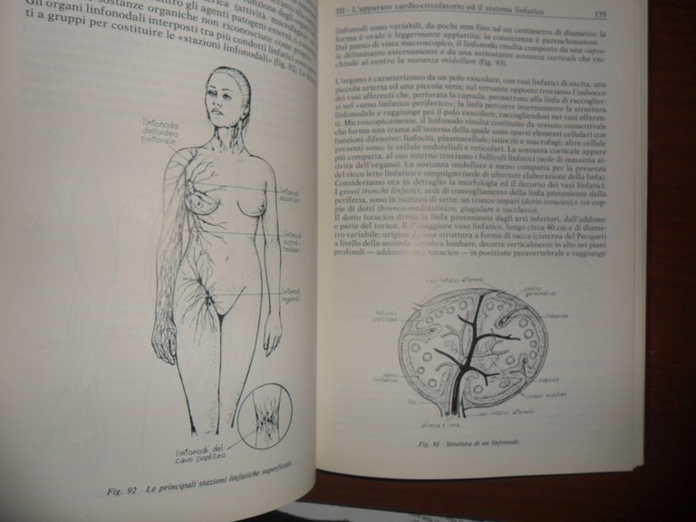 Anatomia fisiopatologia e psicosomatica. Pratica estetica