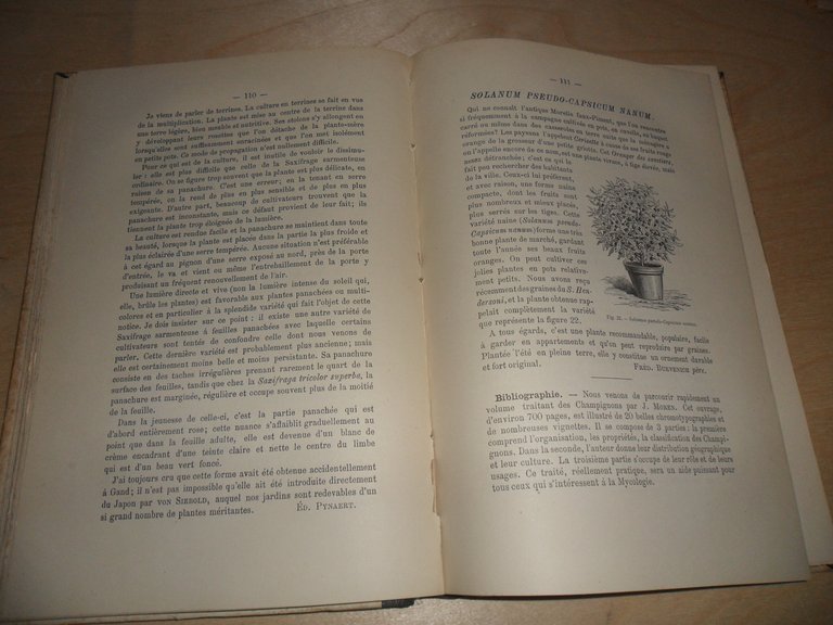 Revue de l'horticulture belge et etrangere. tome XV. 1889