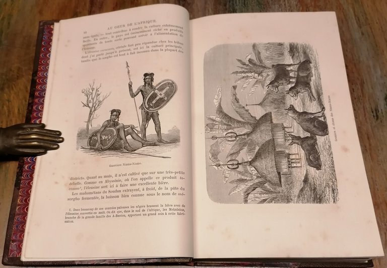 Au coeur de l'Afrique 1868 - 1871. Voyages et découvertes …