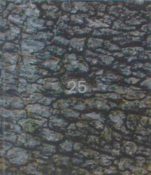 Teste di legno Storie di burattini e falegnami cocciuti