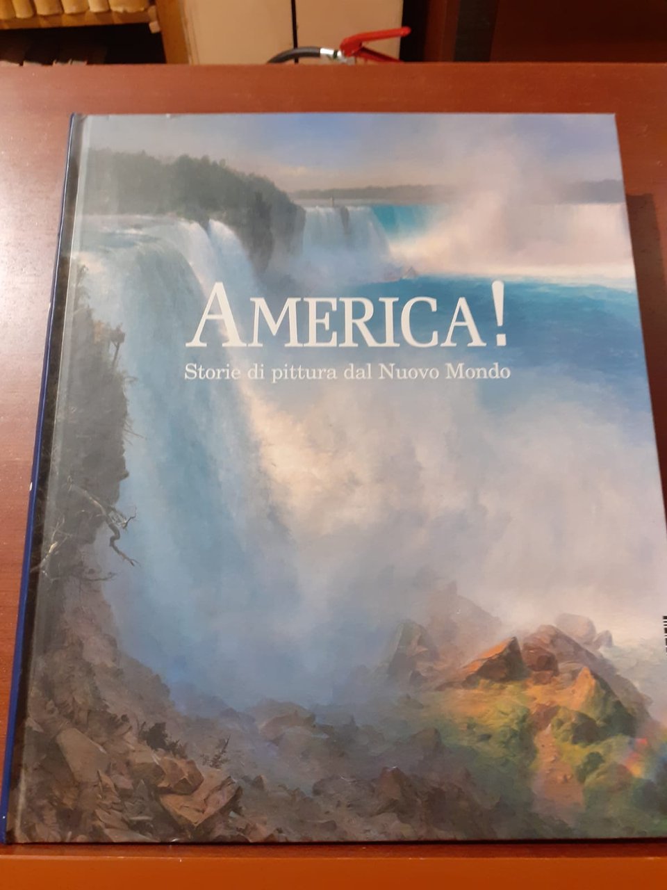 AMERICA! Storie di pittura dal Nuovo Mondo