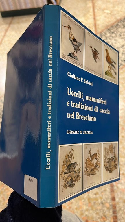 Uccelli, mammiferi e tradizioni di caccia nel bresciano