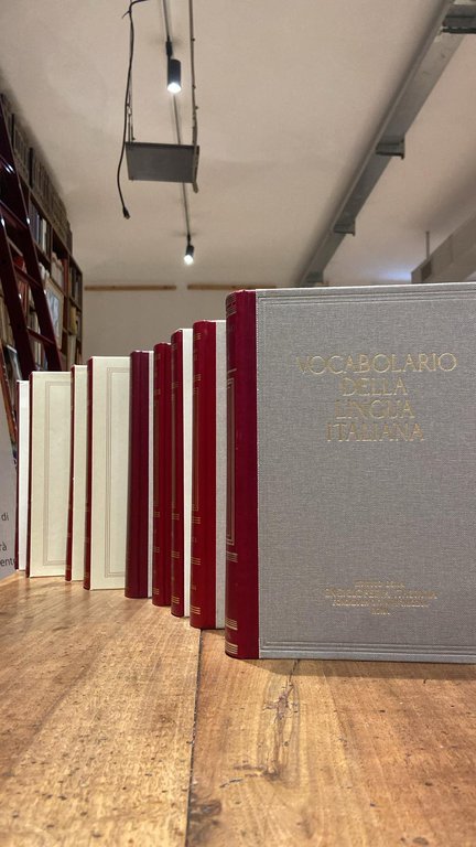 Vocabolario della lingua italiana Treccani- Thesaurus 14 vol.