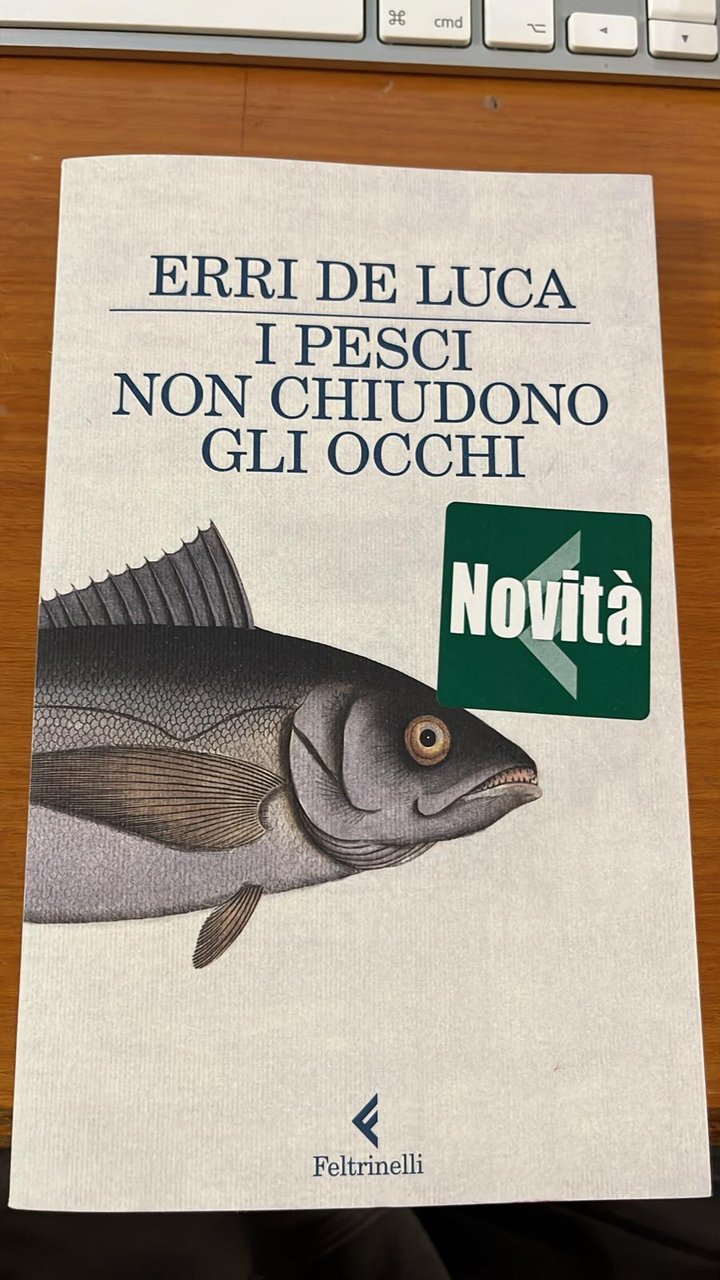 I pesci non chiudono gli occhi