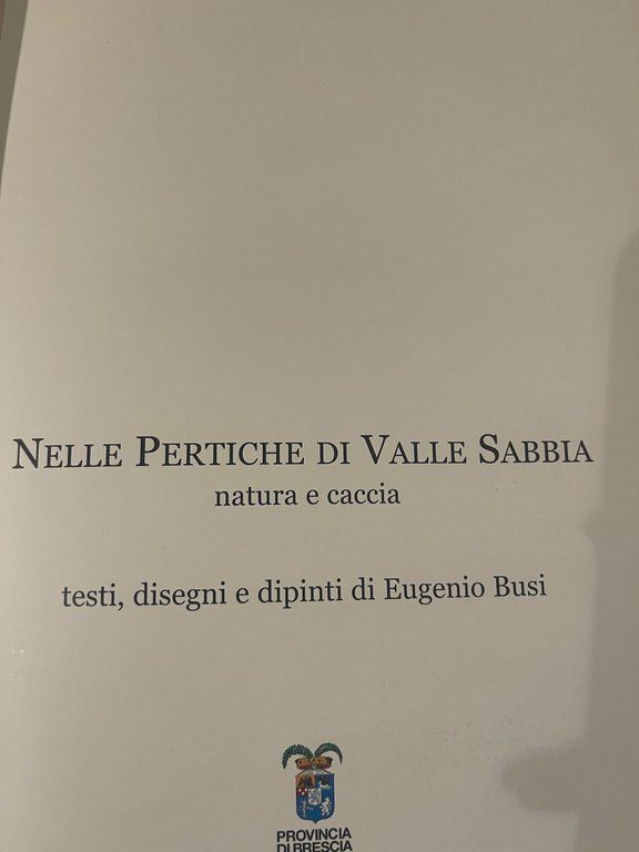 Nelle pertiche di Valle Sabbia