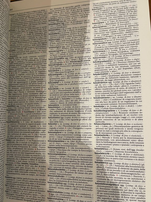 Vocabolario della lingua Italiana Il Conciso.