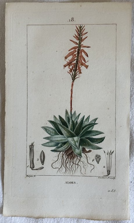 ALOES