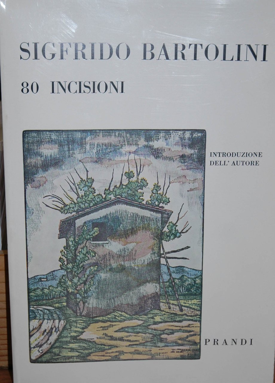 American Painting of the 1970s.