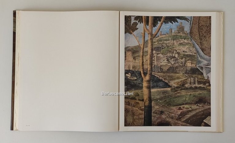 La Camera degli Sposi del Mantegna a Mantova