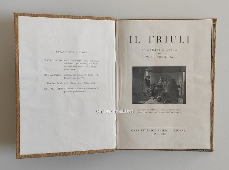 Il Friuli. Itinerari e soste