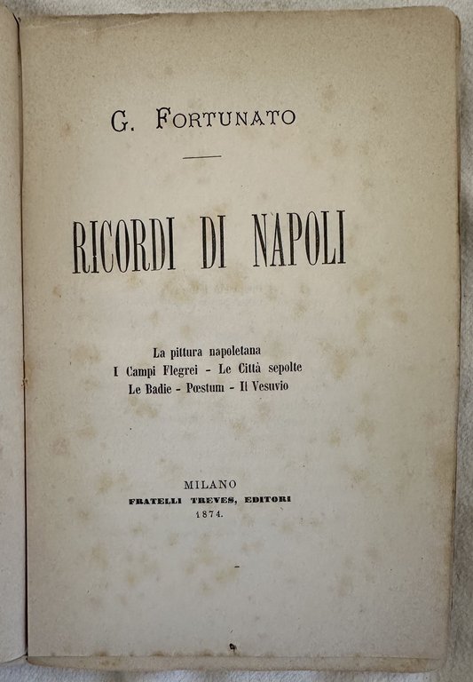 RICORDI DI NAPOLI LA PITTURA NAPOLETANA - I CAMPI FLEGREI …