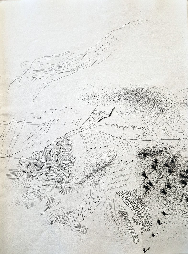 La semplice in cerca di spirito. Acqueforti di Tullio Pericoli.