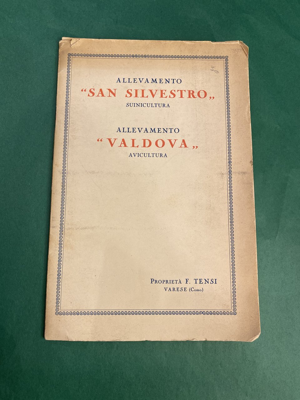 Allevamento "San Silvestro" suinicultura - Allevamento "Valdova" avicultura