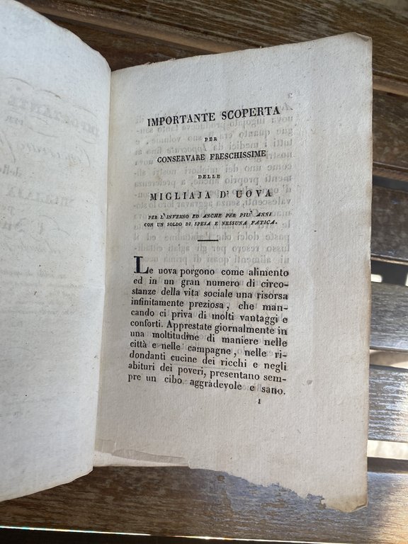 Importante scoperta per conservare freschissime delle migliaia d'uova per l'inverno …