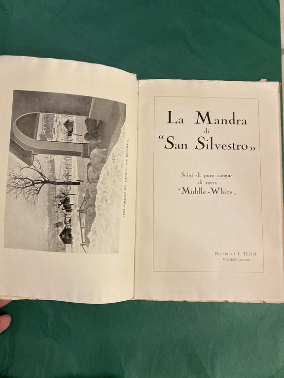 Allevamento "San Silvestro" suinicultura - Allevamento "Valdova" avicultura