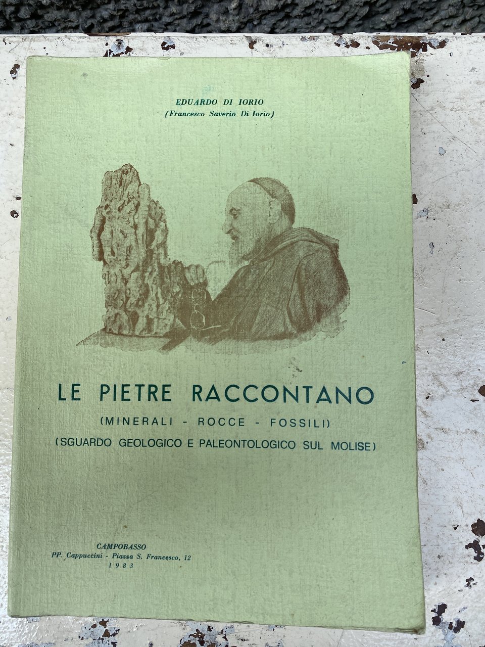 Le pietre raccontano (minerali - rocce - fossili) sguardo geologico …