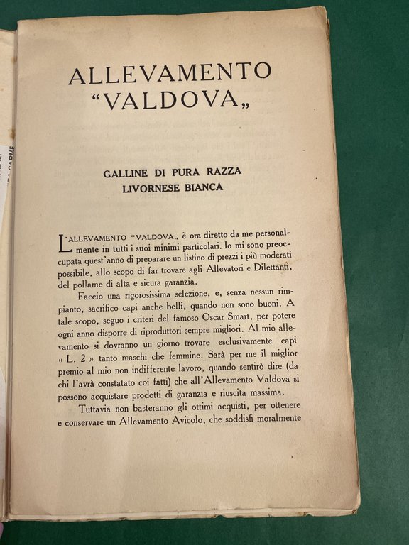 Allevamento "San Silvestro" suinicultura - Allevamento "Valdova" avicultura