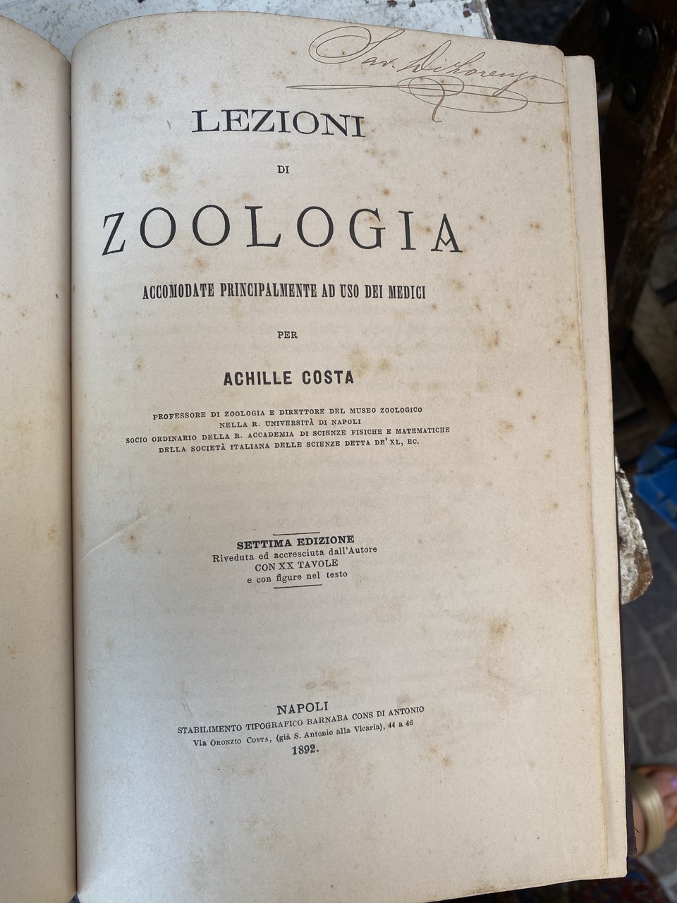 Lezioni di zoologia accomodate principalmente ad uso dei medici