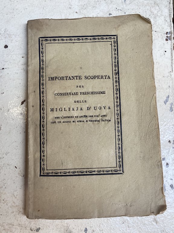 Importante scoperta per conservare freschissime delle migliaia d'uova per l'inverno …